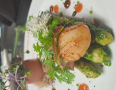 LES SALONS DE LA FERME AUX OIES